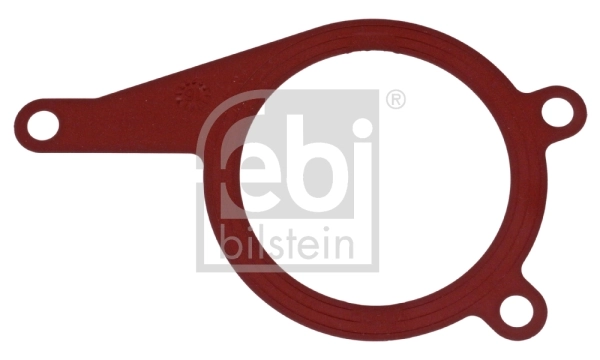 Gasket, vacuum pump